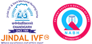 Jindal IVF and Sant Memorial Nursing Home
