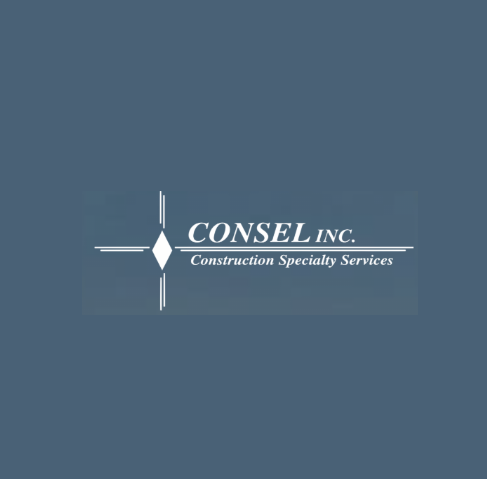Consel Inc