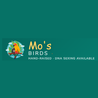 Mo's Birds