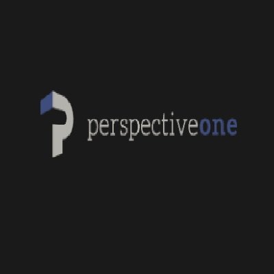 Perspective One