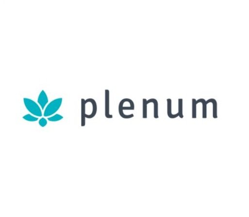 Plenum Psicología