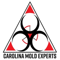 Carolina Mold Experts