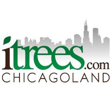 iTrees.com