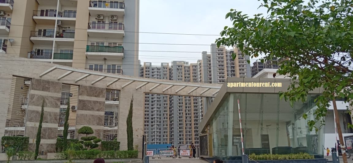 Apartment On Rent