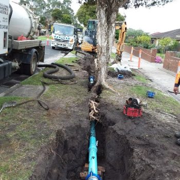Rootcontrollers & Hydrox Australia