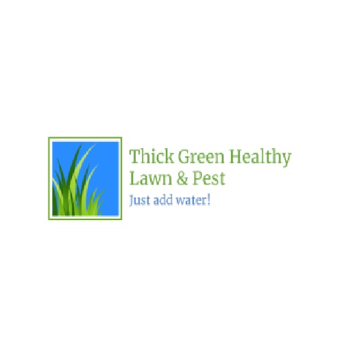 Thick Green Healthy Lawn & Pest