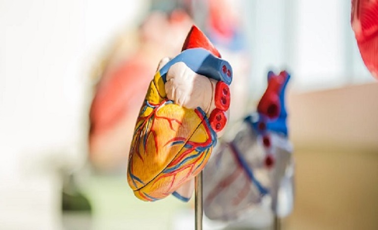 cardiac specialist center 