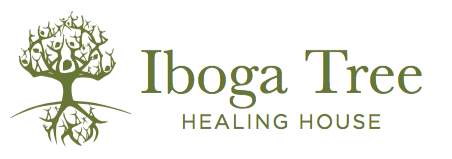 Ibogaine Treatment Europe