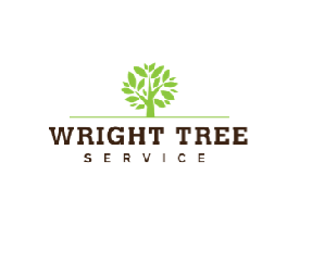 Wright Tree Service
