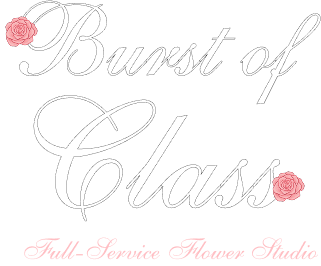 Burst of Class