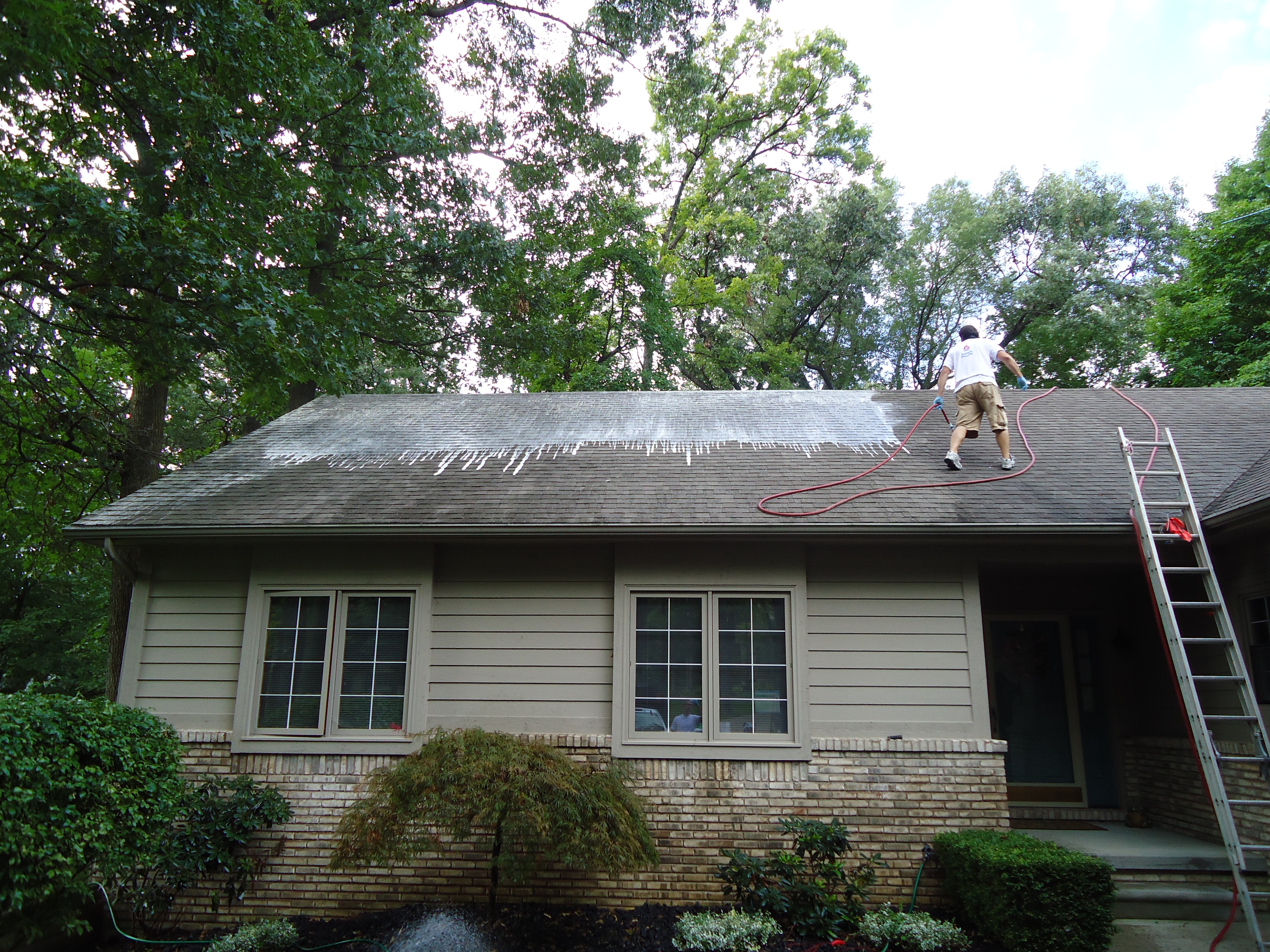 Pressure Roof Cleaning