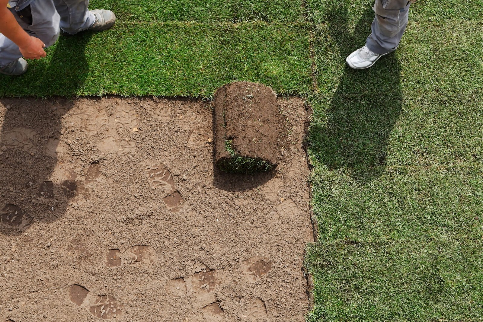 Sod Installation Frisco