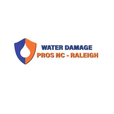 waterdamageprosraleigh