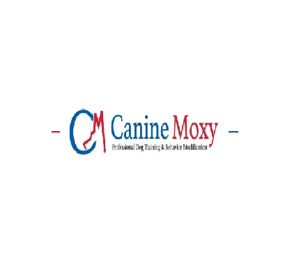 Canine Moxy