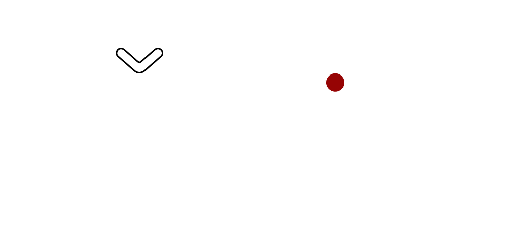 The Air Gun Store