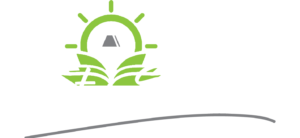 Online Tutoring