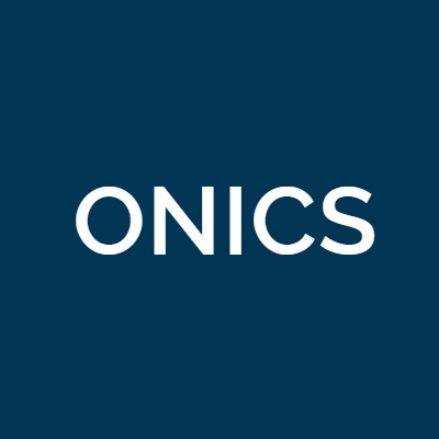 Onics power resistor