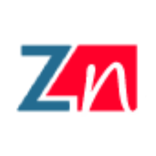 ZNSoftech - Web Development | Digital Marketing Agency